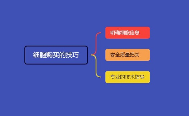 細胞購買的技巧有哪些？