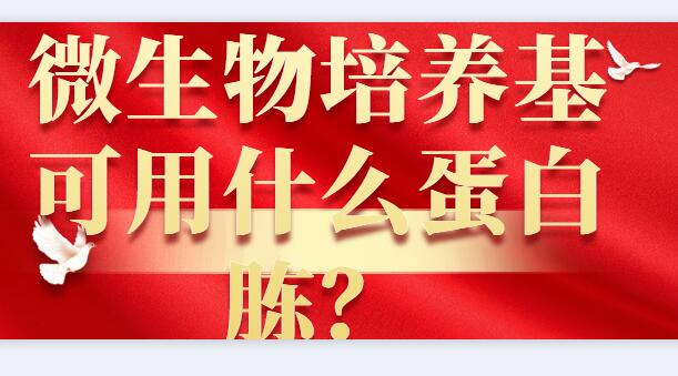 微生物培養基可用什么蛋白胨？