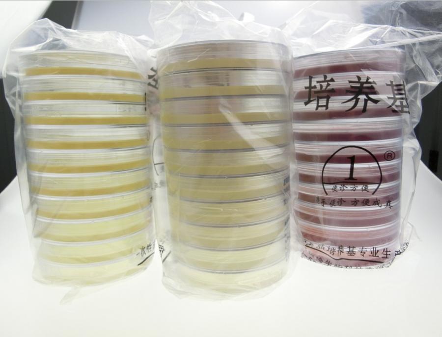 沙氏葡萄糖瓊脂表面培養基(四)等接觸碟（無菌預
