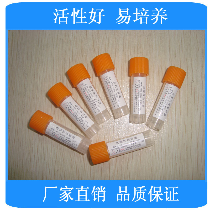 光滑念珠菌