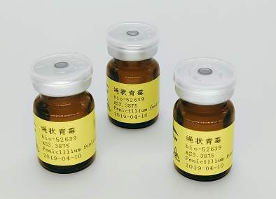 微生物菌種的作用以及管理的相關流程介紹