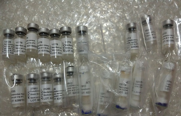 購買atcc菌種有哪些需要注意的事情？它應該這樣去保存！