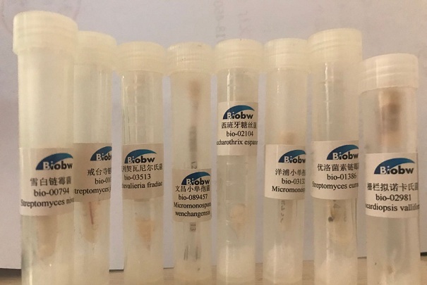 微生物菌種為什么使用無效？它在農業中起到了這些作用！